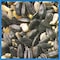 Coles Cole's Blue Ribbon Blend Assorted Species Black Oil Sunflower Wild Bird Food 10 lb BR10 - alternate 2
